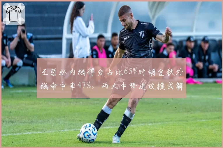 王哲林内线得分占比65%对胡金秋外线命中率47%,两大中锋进攻模式解析