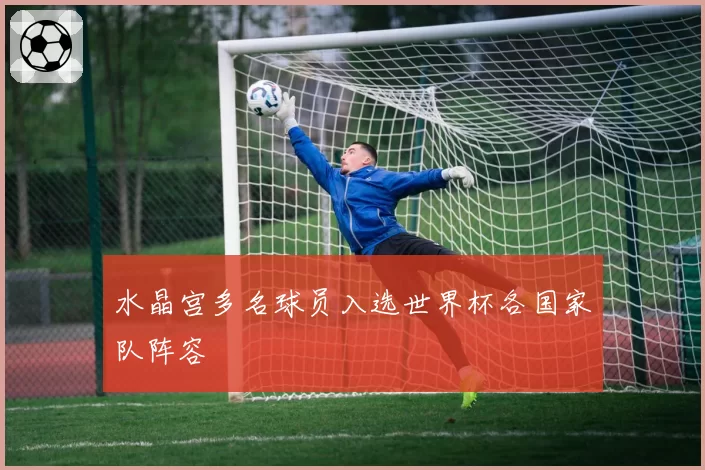 水晶宫多名球员入选世界杯各国家队阵容