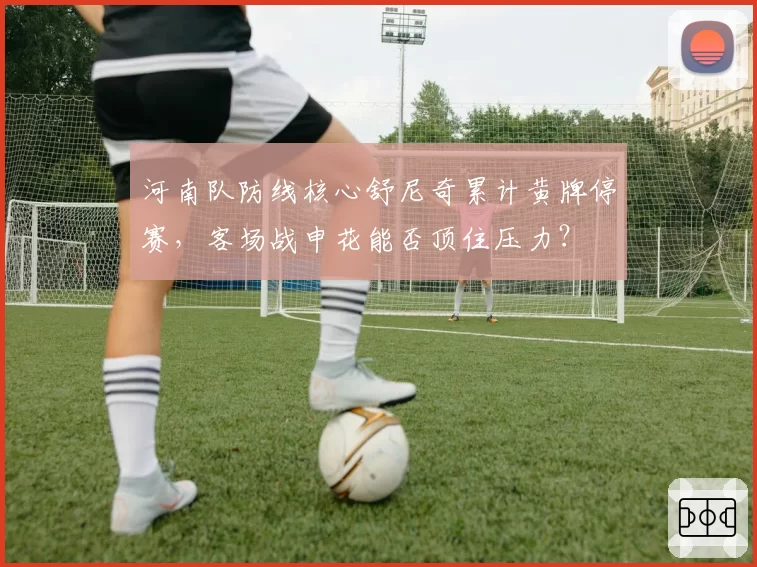 河南队防线核心舒尼奇累计黄牌停赛，客场战申花能否顶住压力？