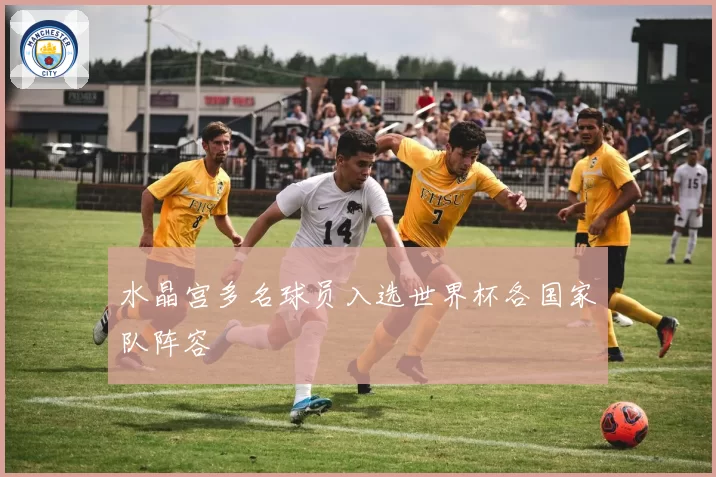 水晶宫多名球员入选世界杯各国家队阵容